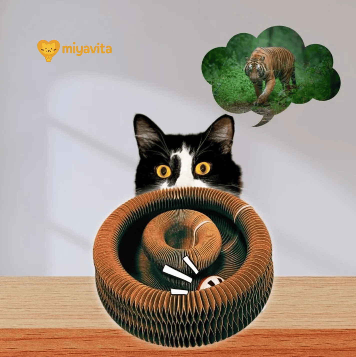Smart Cat Play and Scratch Hub