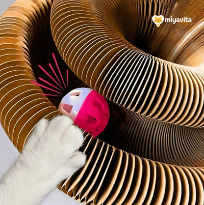 Smart Cat Play and Scratch Hub