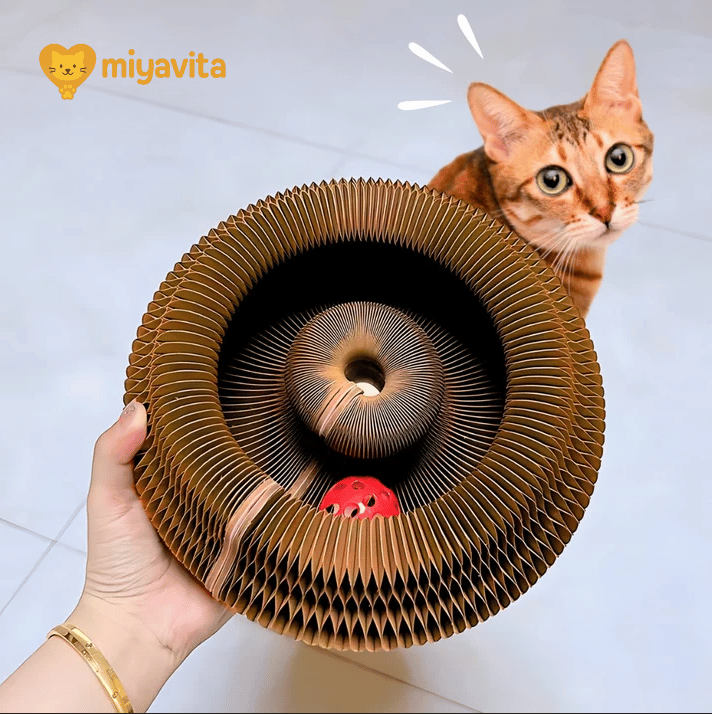 Smart Cat Play and Scratch Hub