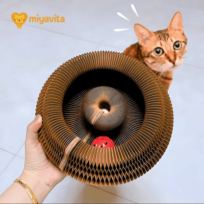 Smart Cat Play and Scratch Hub