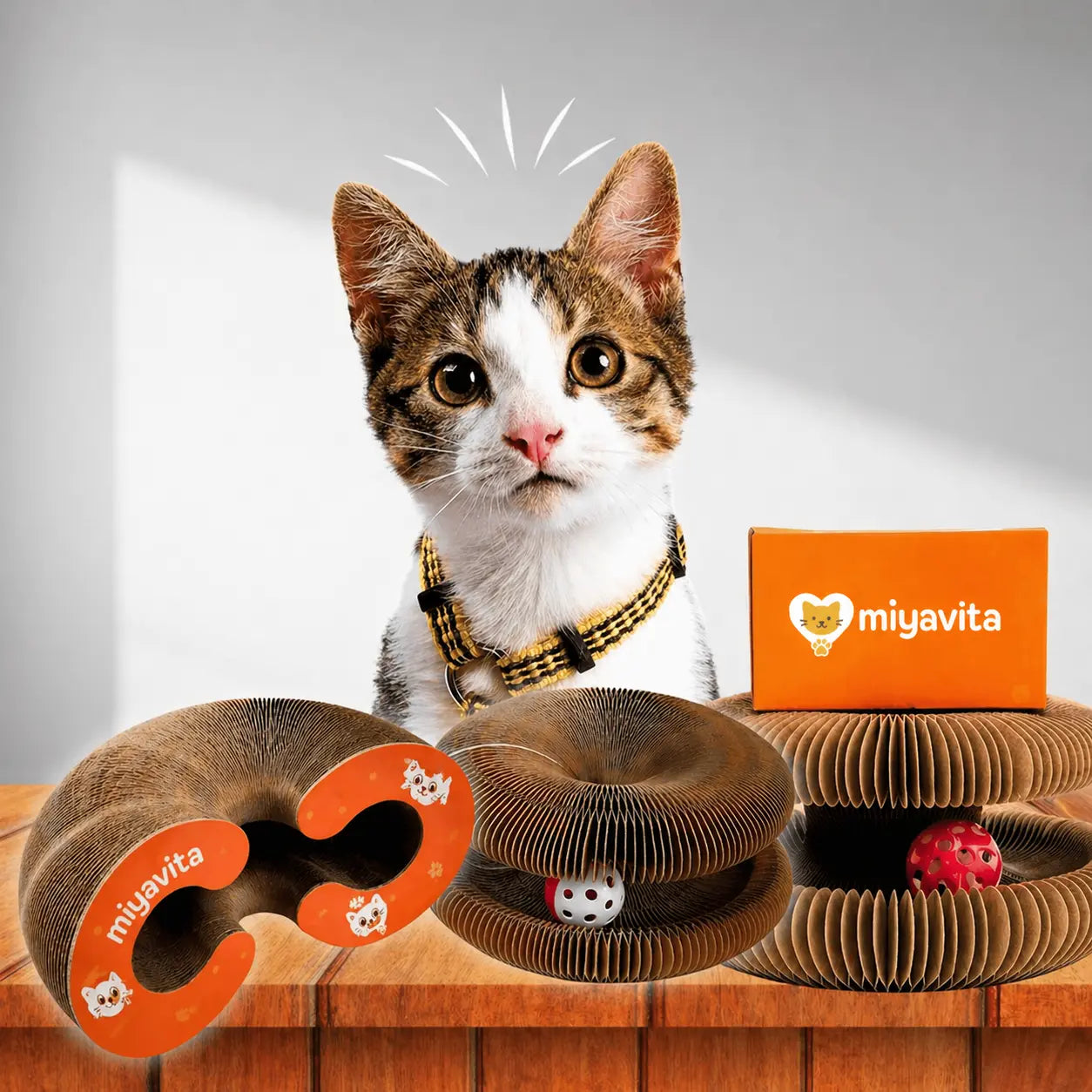 Smart Cat Play and Scratch Hub