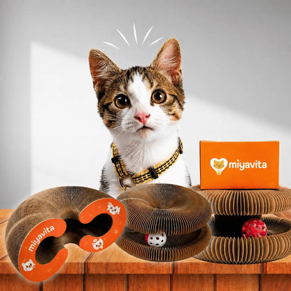 Smart Cat Play and Scratch Hub